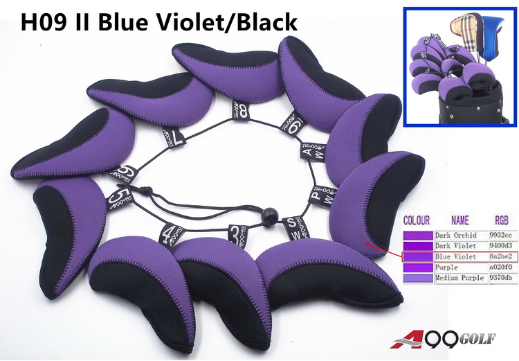 H09-II-blue-violet.jpg